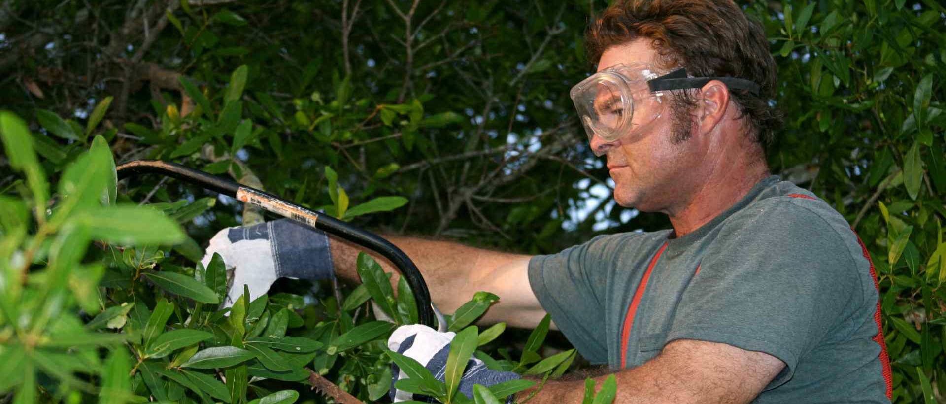 garden clearance SW10